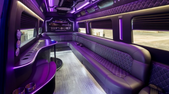 daytona beach sprinter limo rental inside