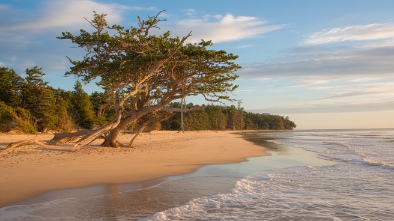 tomoka state park