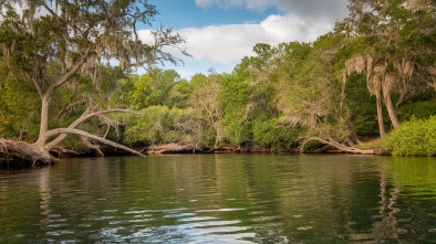 wekiwa springs state park